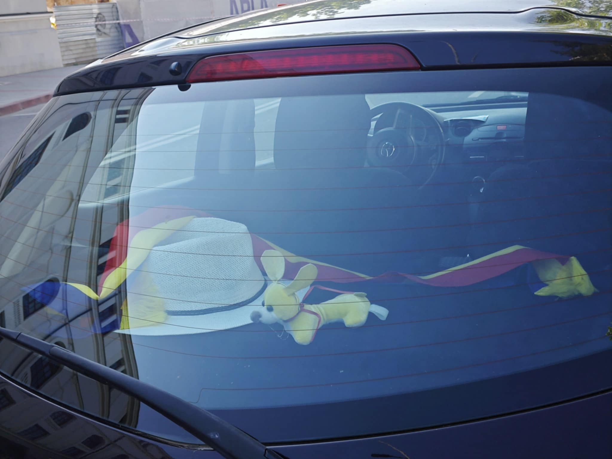 Poza zilei 4 iunie 2025 