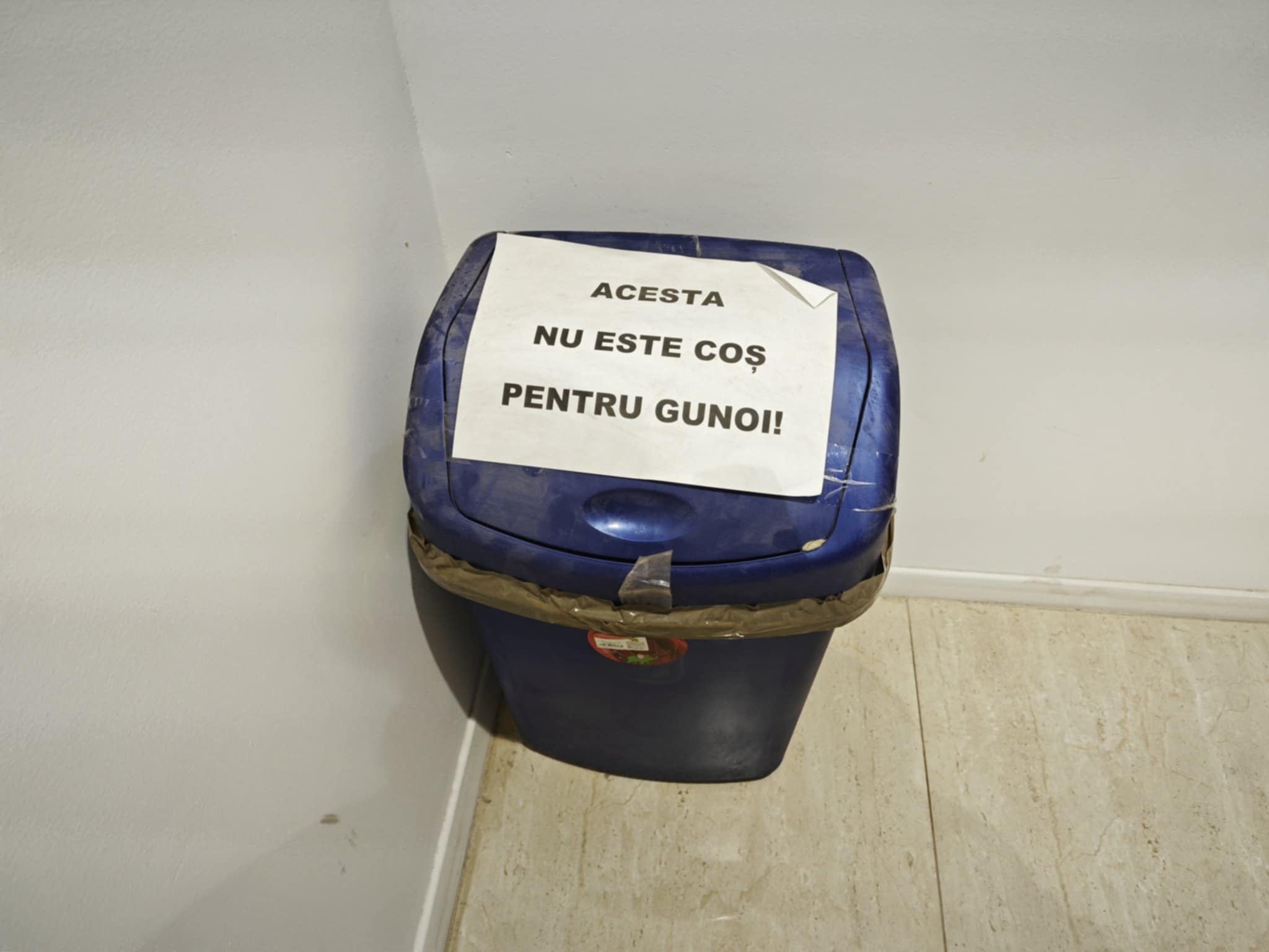 Poza zilei 10 decembrie 2024 