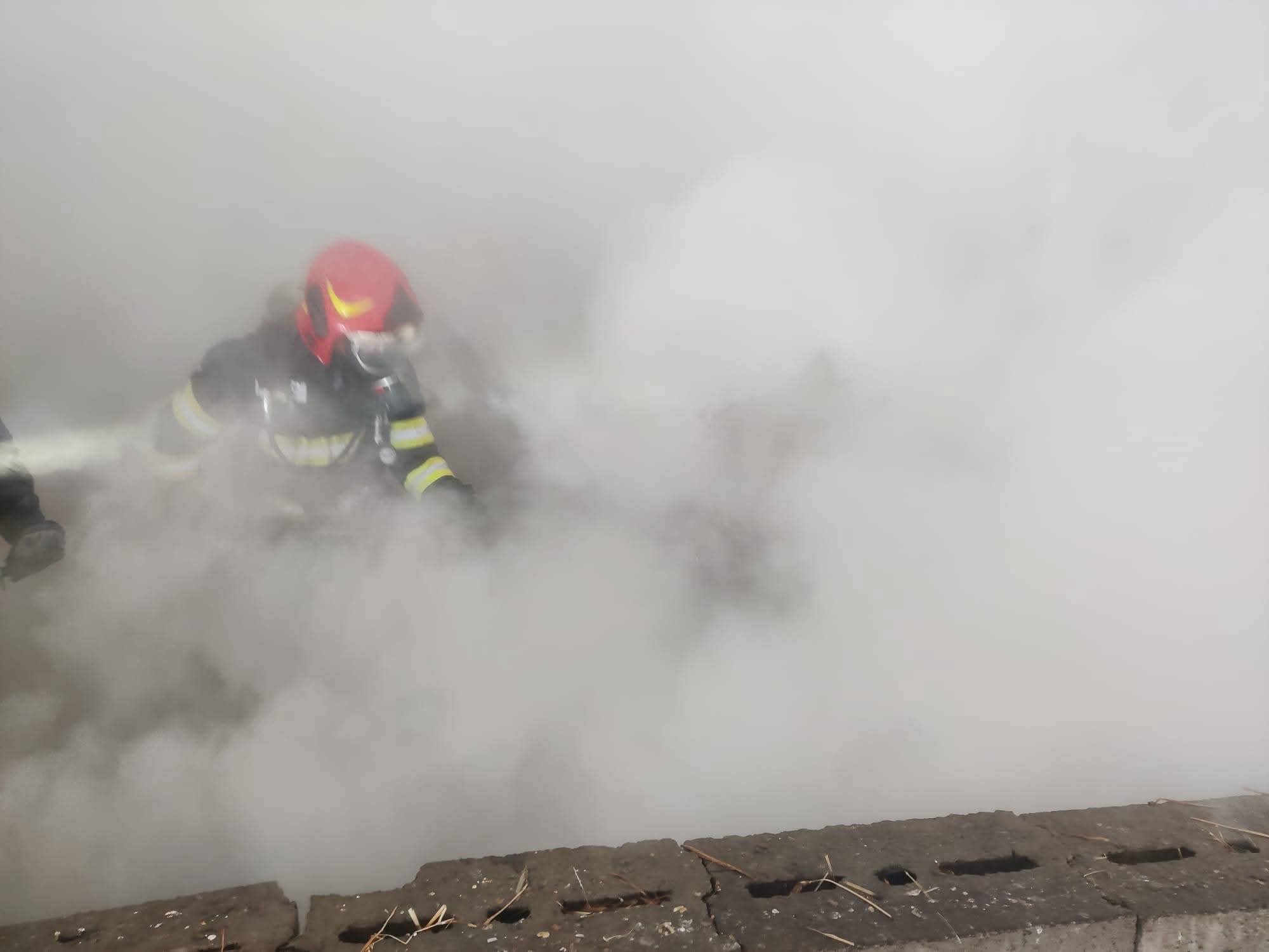 Patru familii din Botoșani la un pas să rămână pe drumuri în plină iarnă