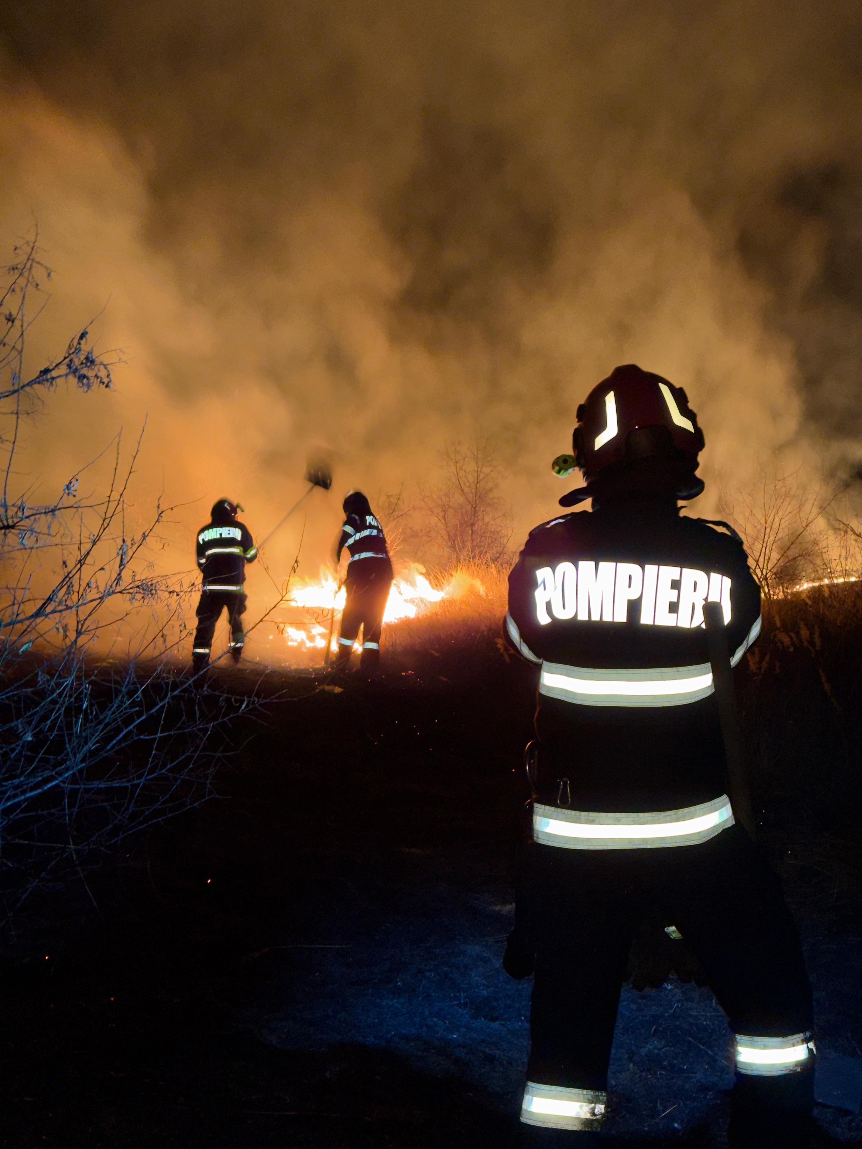 Flăcări uriașe pe câmp, muncă grea pentru pompierii de la Botoșani