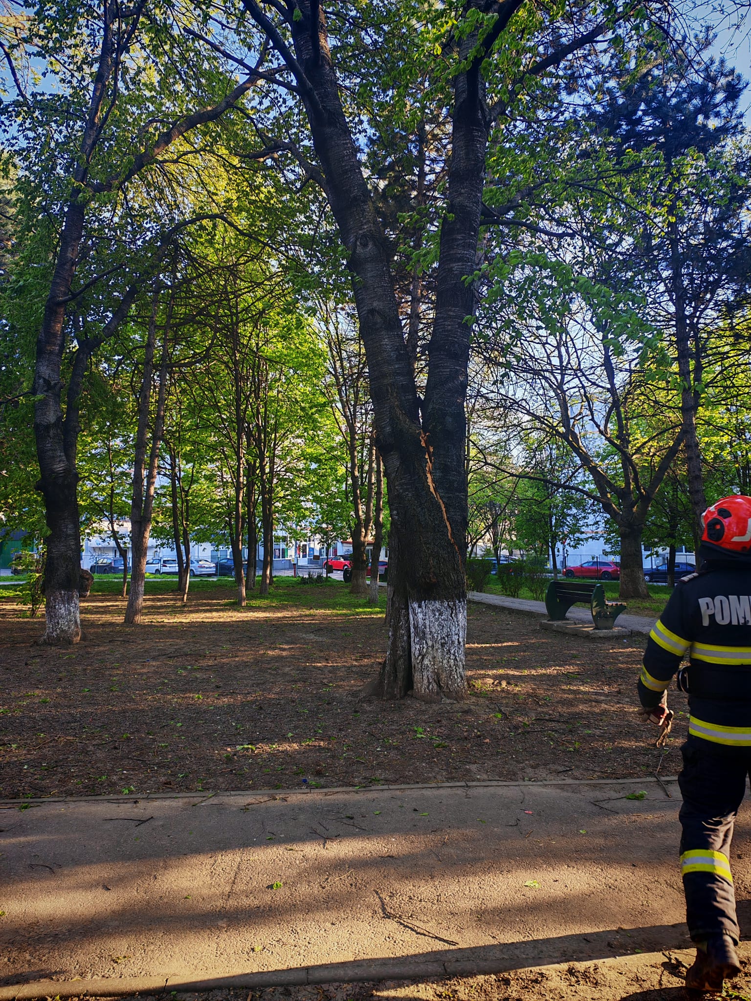 Pompierii chemați și într-un parc din municipiu 