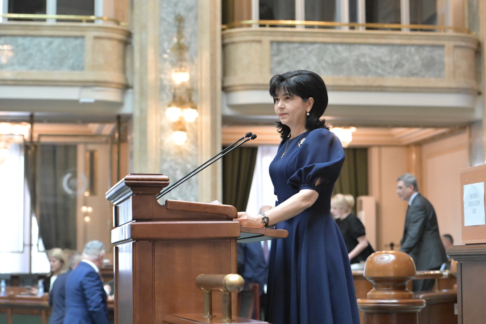 Senatorul PSD Doina Federovici cere ambulanțe noi pentru Botoșani