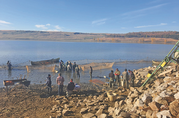 Un inginer piscicol cu ferme în Botoșani și Iași vinde pește la Carrefour și Auchan: Am moștenit această  pasiune