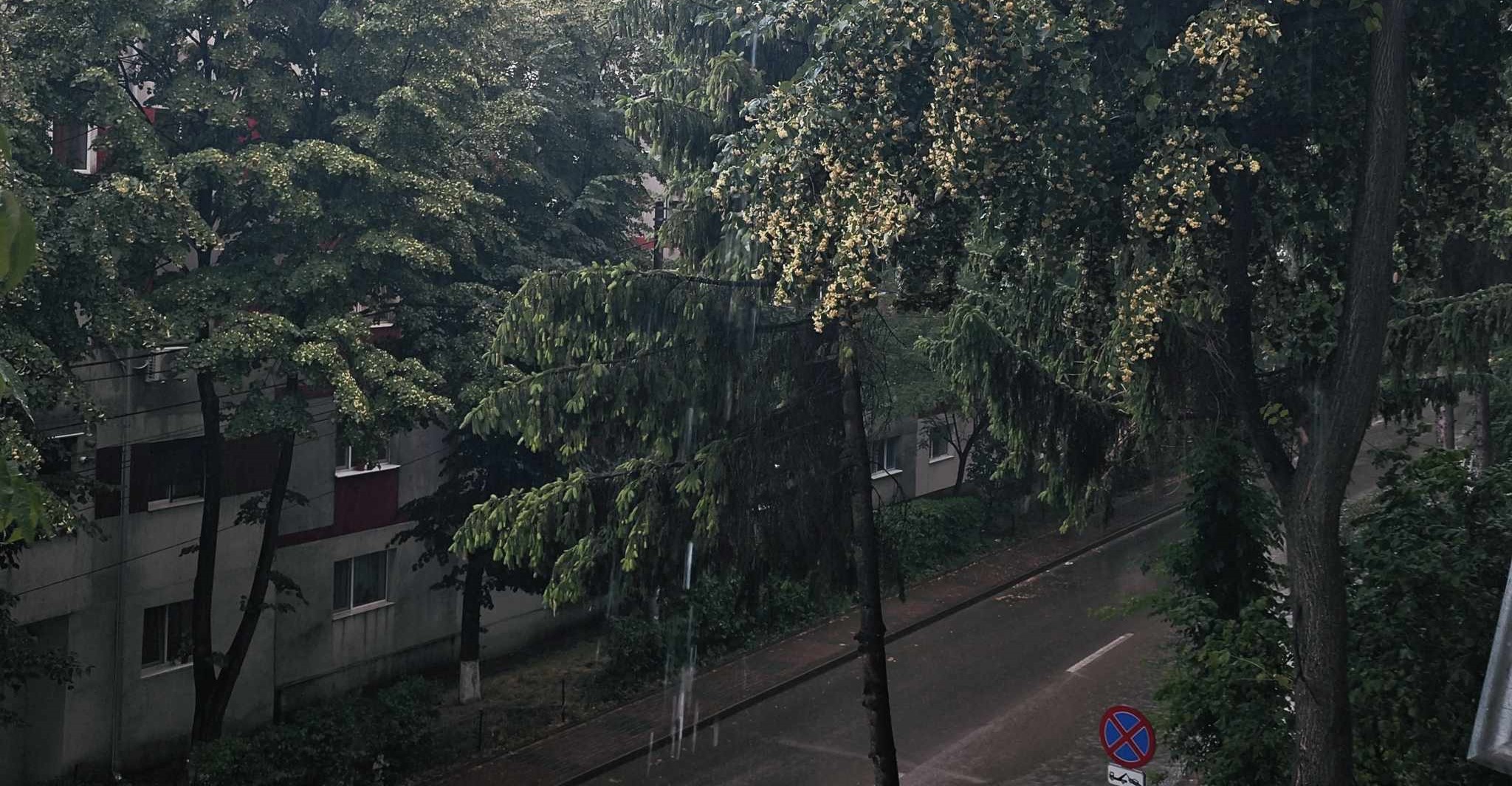 COD PORTOCALIU de ploi torențiale în municipiu și alte localități, s-a emis mesaj RO-ALERT