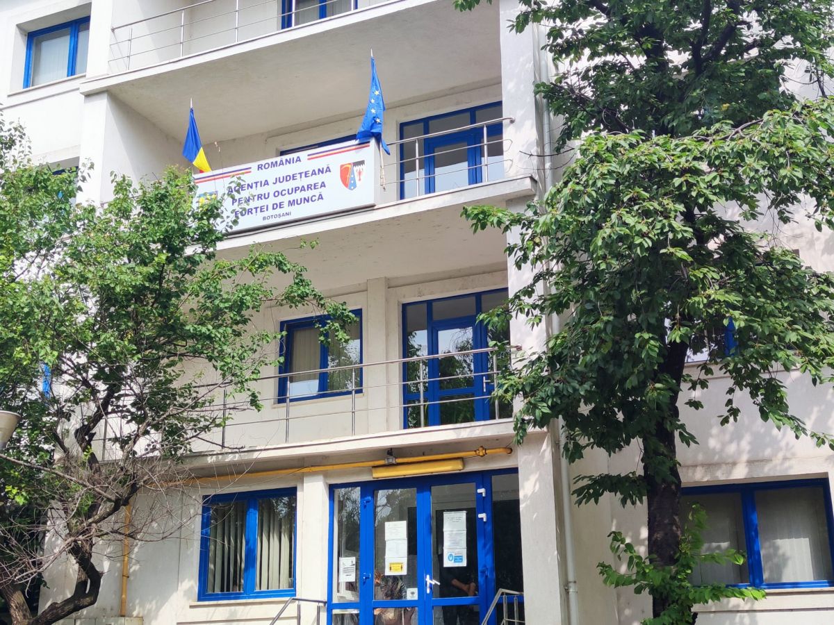 CARE este vârsta botoșănenilor cu chef de muncă