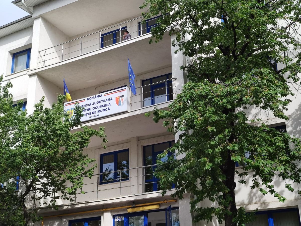 Cursuri de calificare anunțate de AJOFM Botoșani pentru luna august – MESERIILE