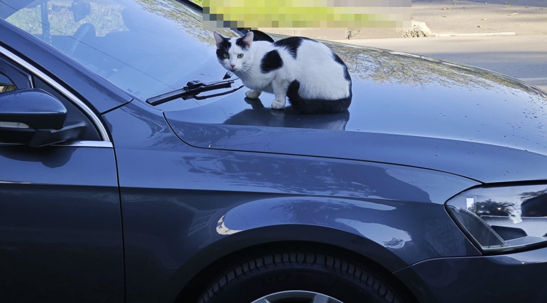 Poza zilei 19 noiembrie 2024 