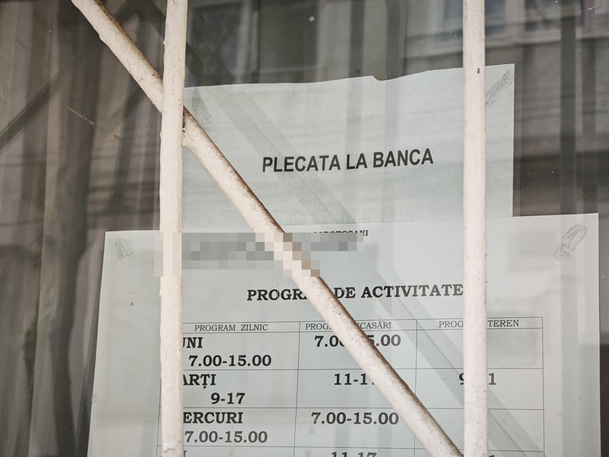 Poza zilei 8 aprilie 2025 