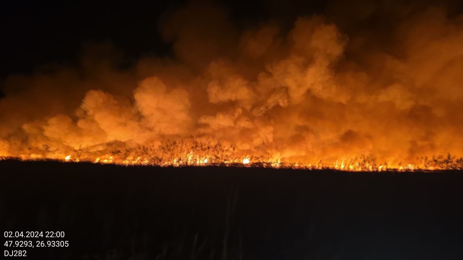 Incendiu într-o arie protejată din Botoșani: Avertismentul comisarilor de la „Mediu”