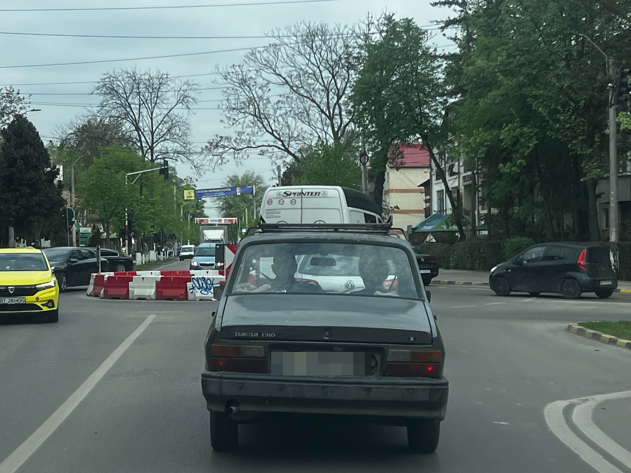 Poza zilei 12 aprilie 2024 