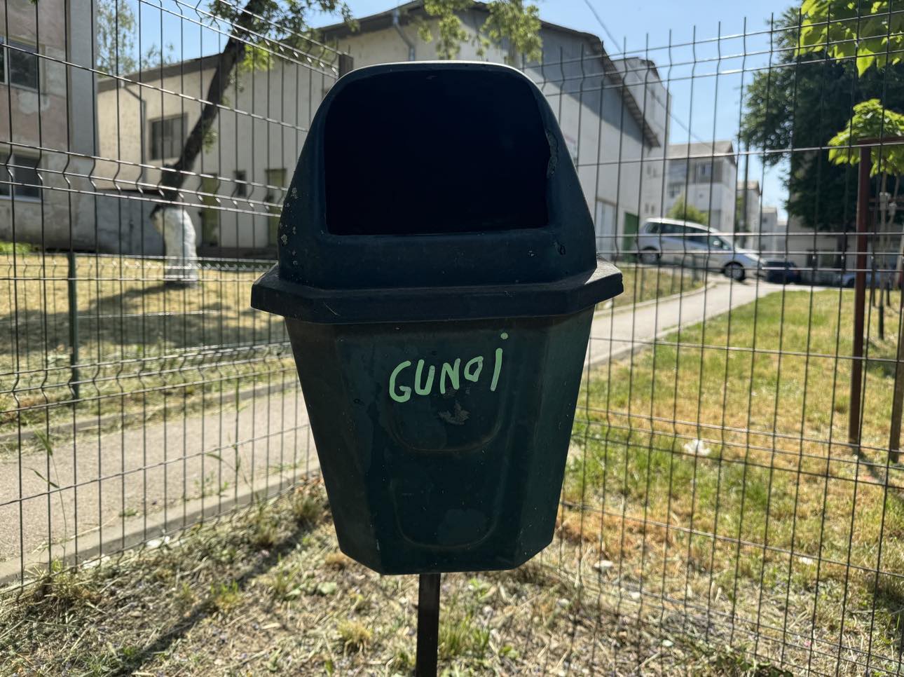 Poza zilei 24 mai 2024 