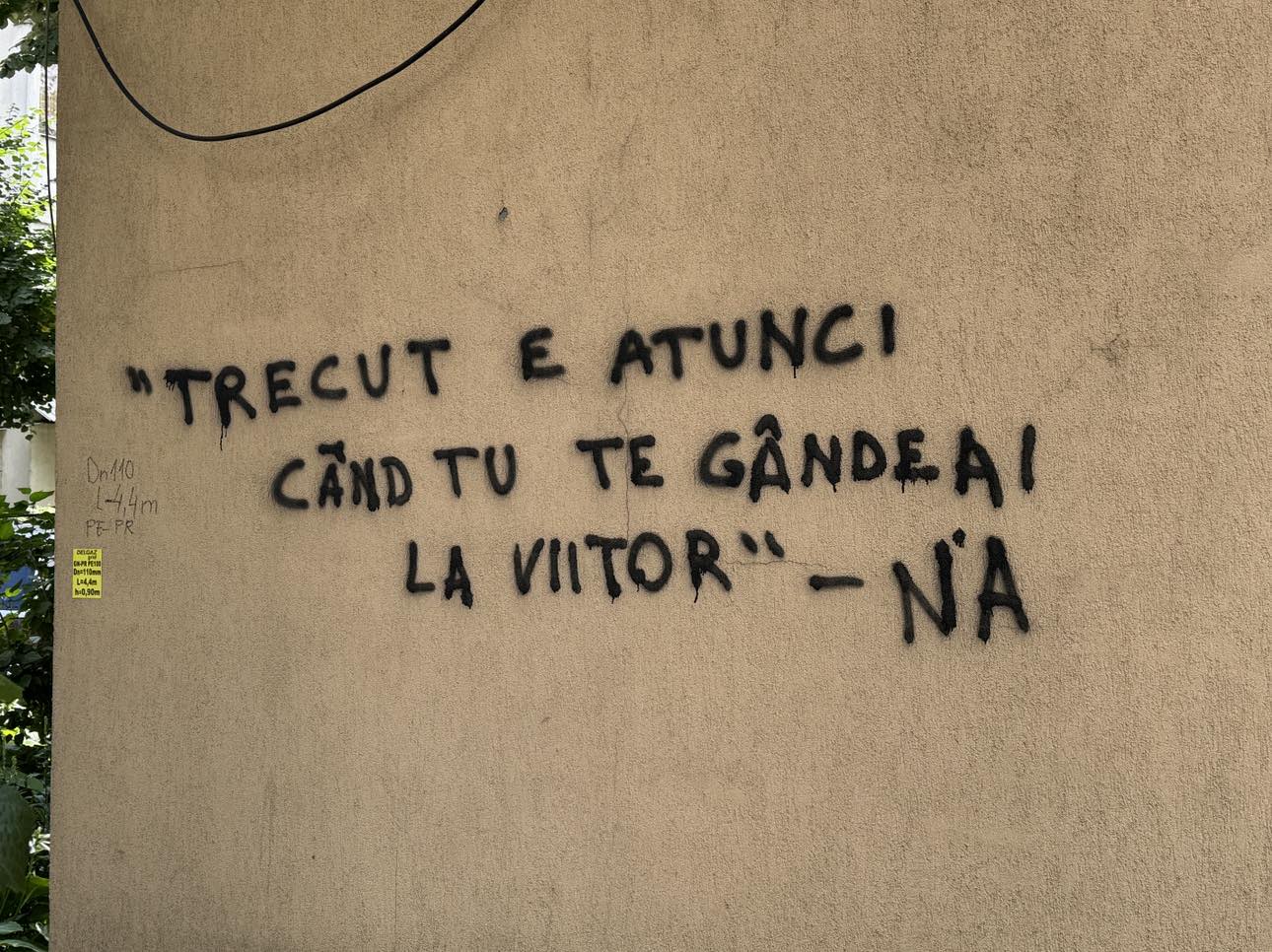 Poza zilei 9 august 2024 