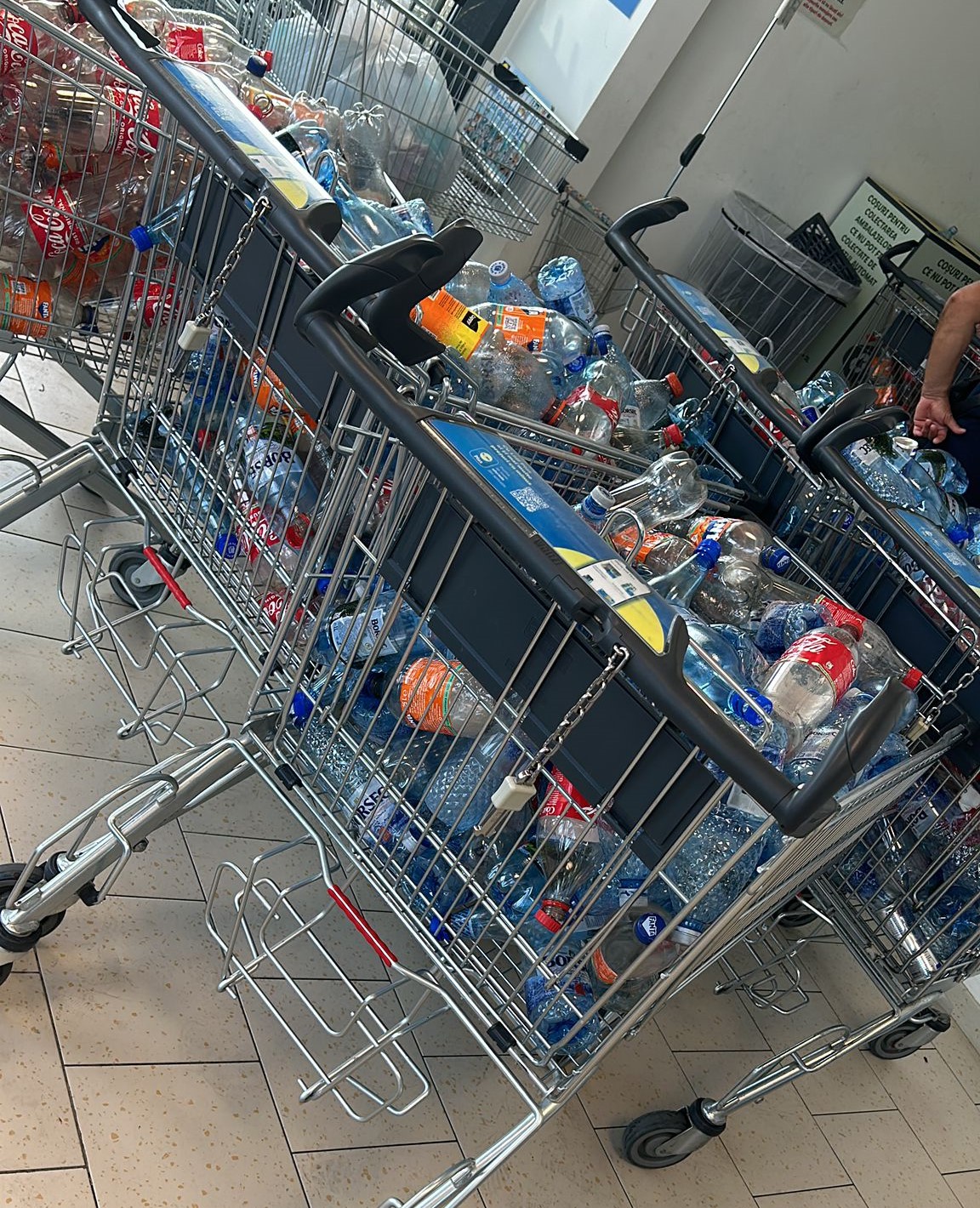 Poza zilei 22 august 2024 