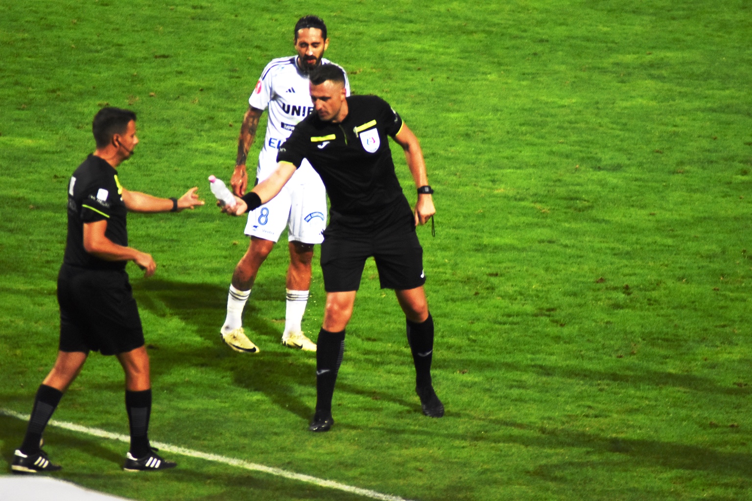 Poza zilei 23 august 2024 