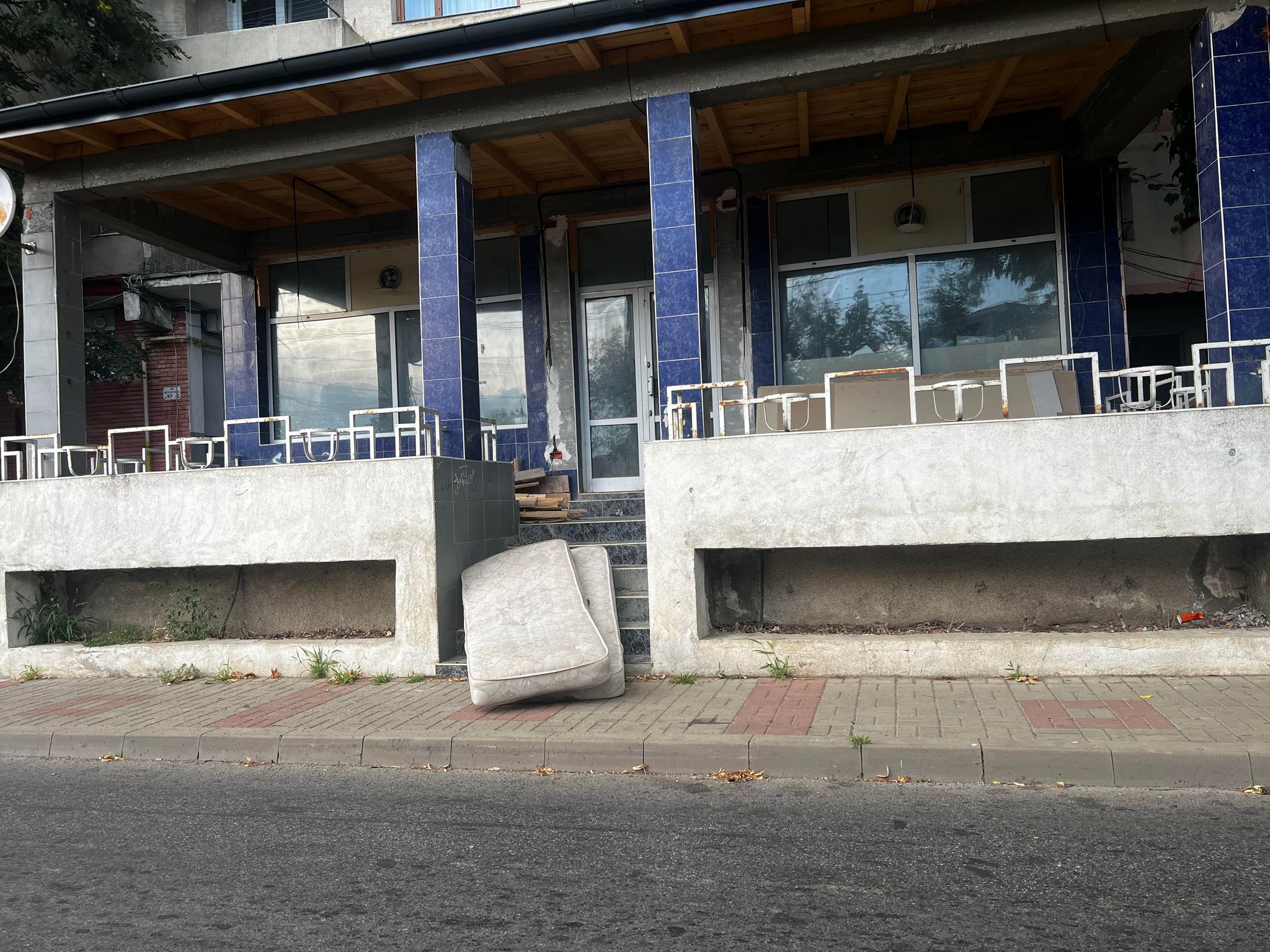 Poza zilei 20 august 2024 