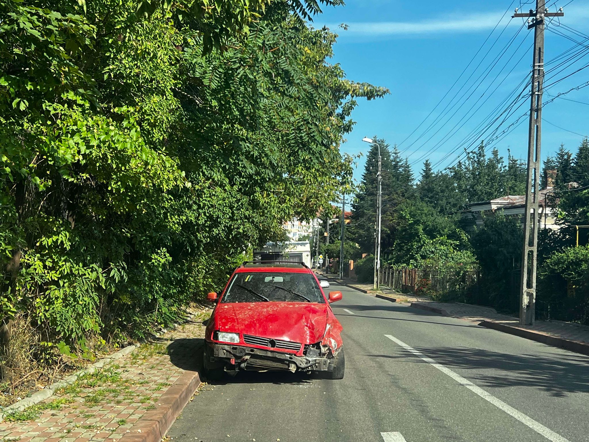 Poza zilei 5 septembrie 2024 