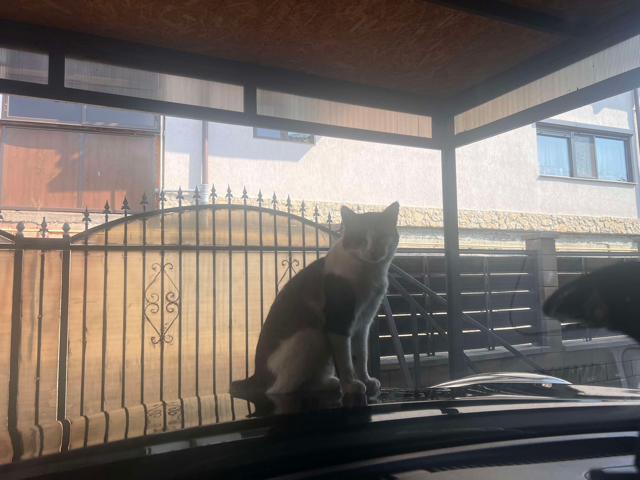 Poza zilei 25 septembrie 2024 