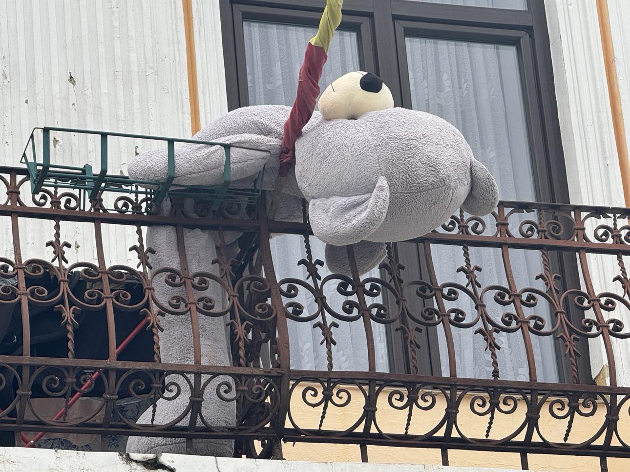 Poza zilei 23 octombrie 2024 