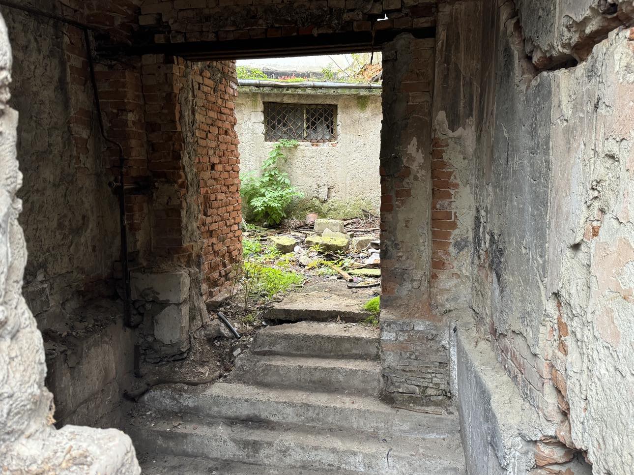 Poza zilei 24 octombrie 2024 