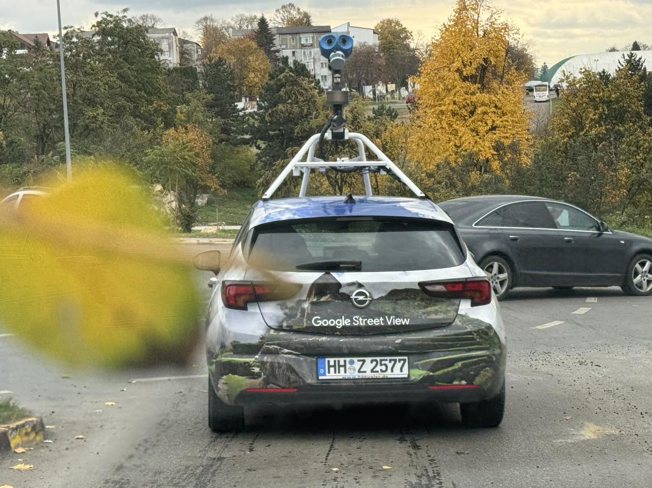 Poza zilei 5 decembrie 2024 