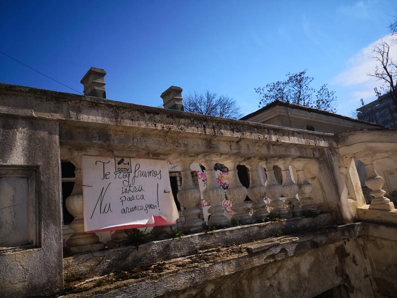 Poza zilei 27 noiembrie 2024 