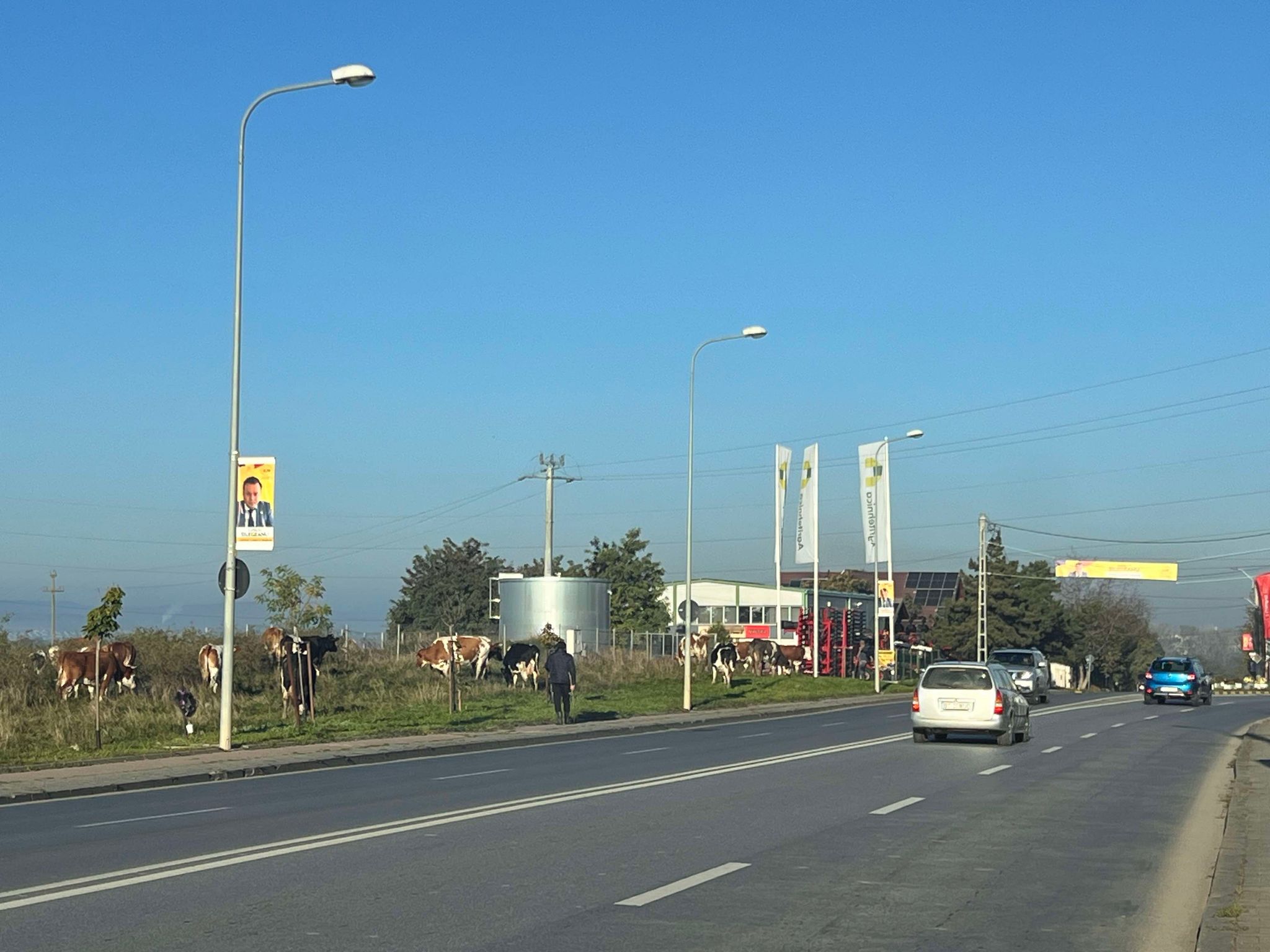 Poza zilei 22 octombrie 2024 