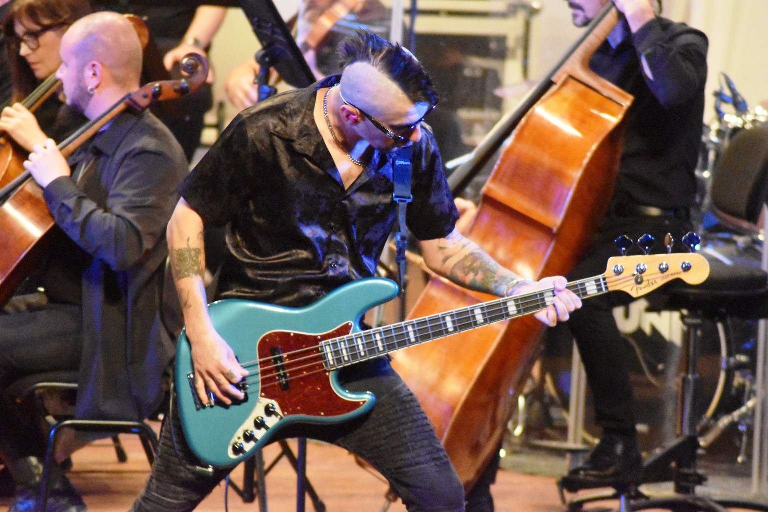 Poza zilei 4 noiembrie 2024 