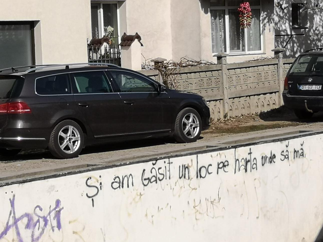 Poza zilei 21 noiembrie 2024 