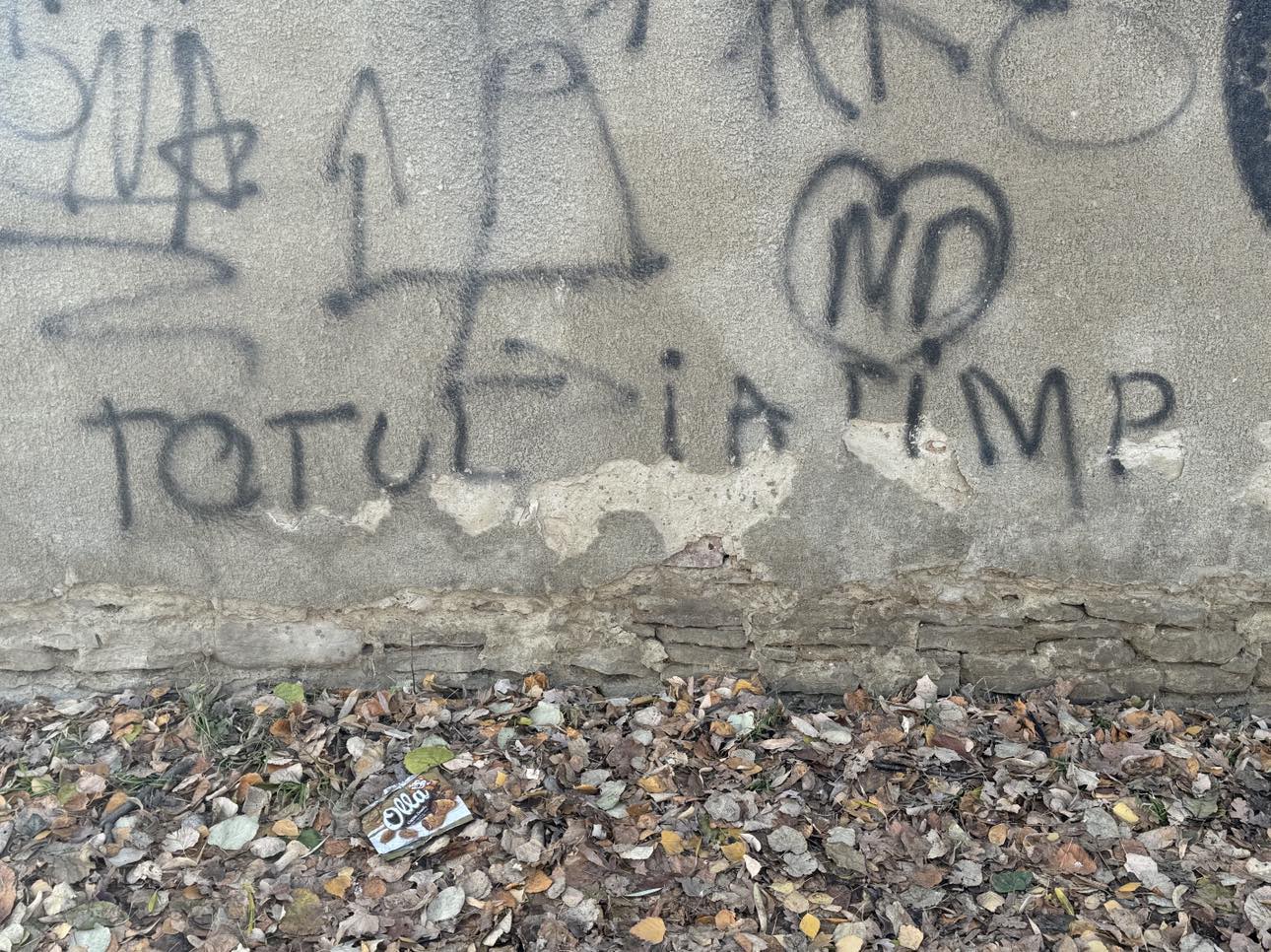 Poza zilei 29 noiembrie 2024 