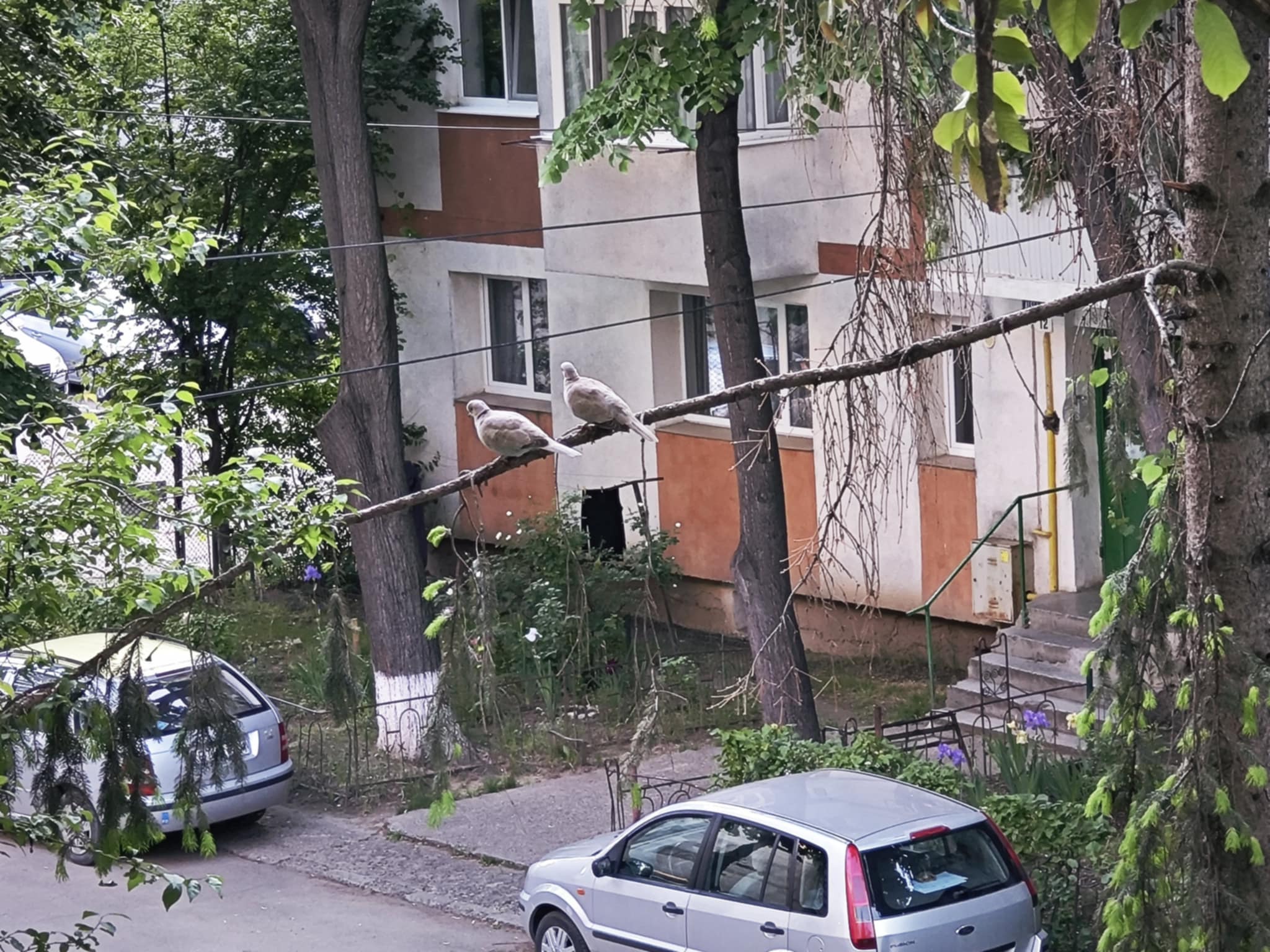 Poza zilei 26 mai 2025 