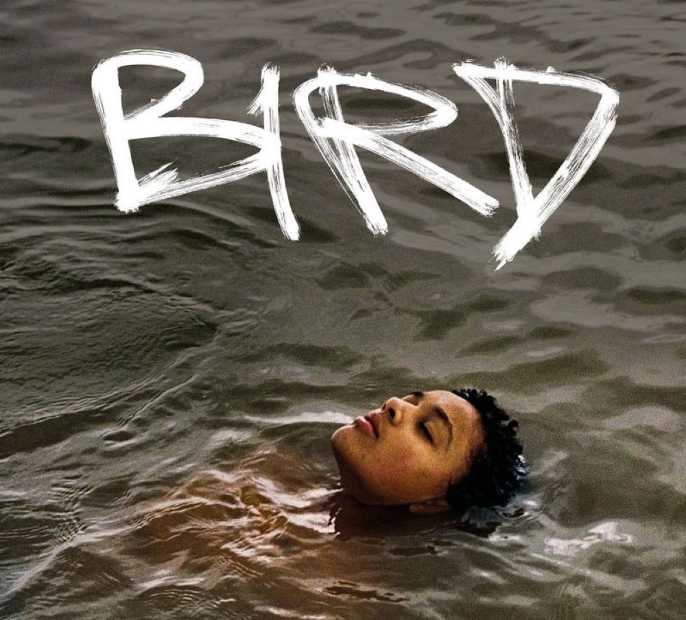 Hai la film! Programul săptămânii la Happy Cinema 