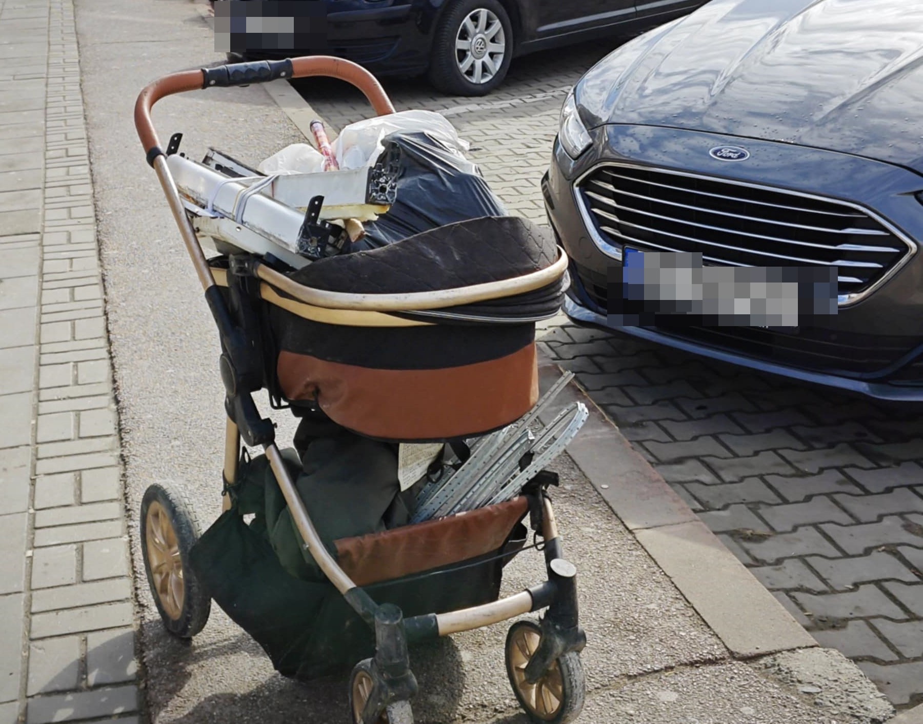 Poza zilei 4 aprilie 2025 