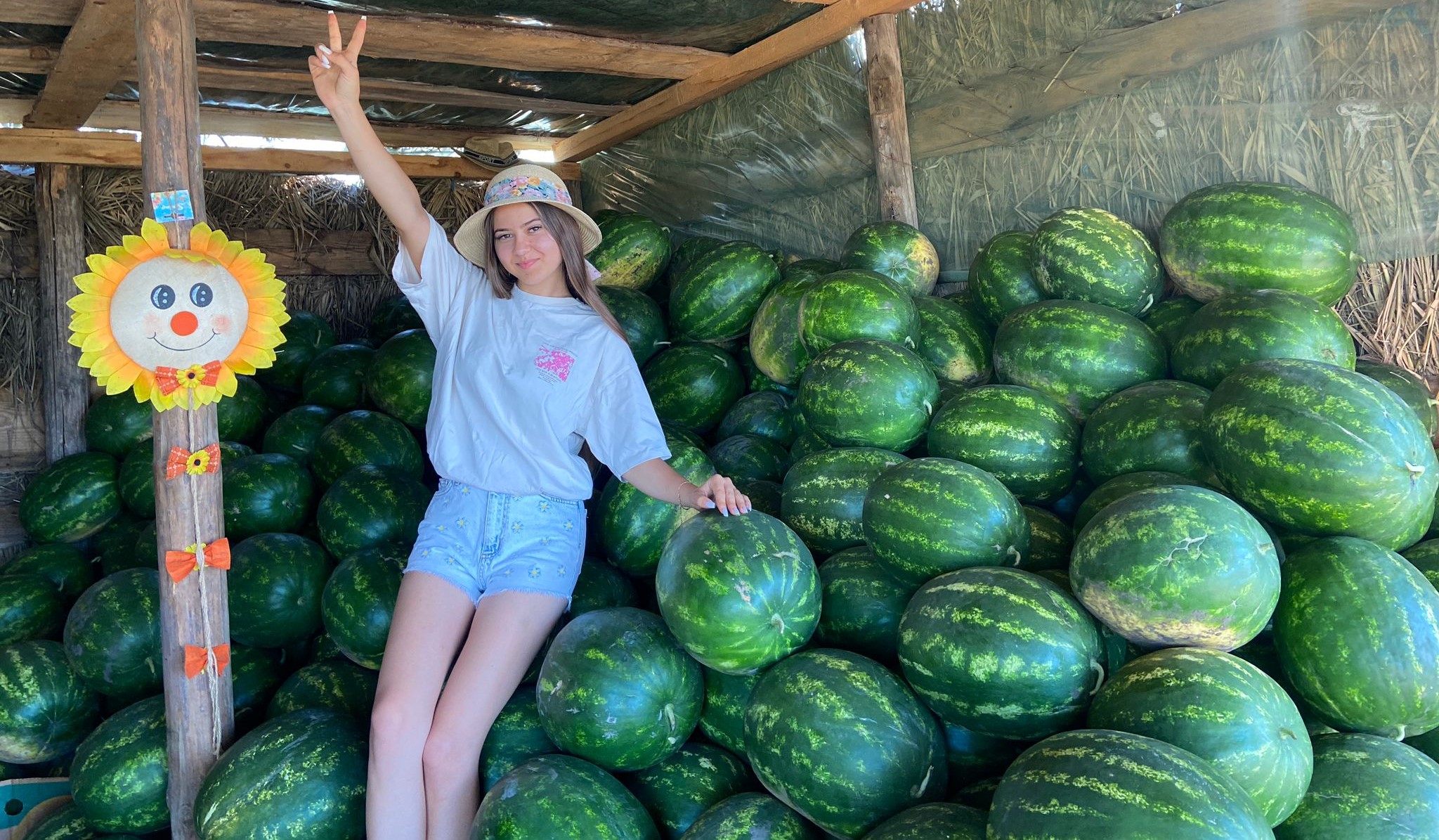 Declarația zilei 23 iulie 2025 