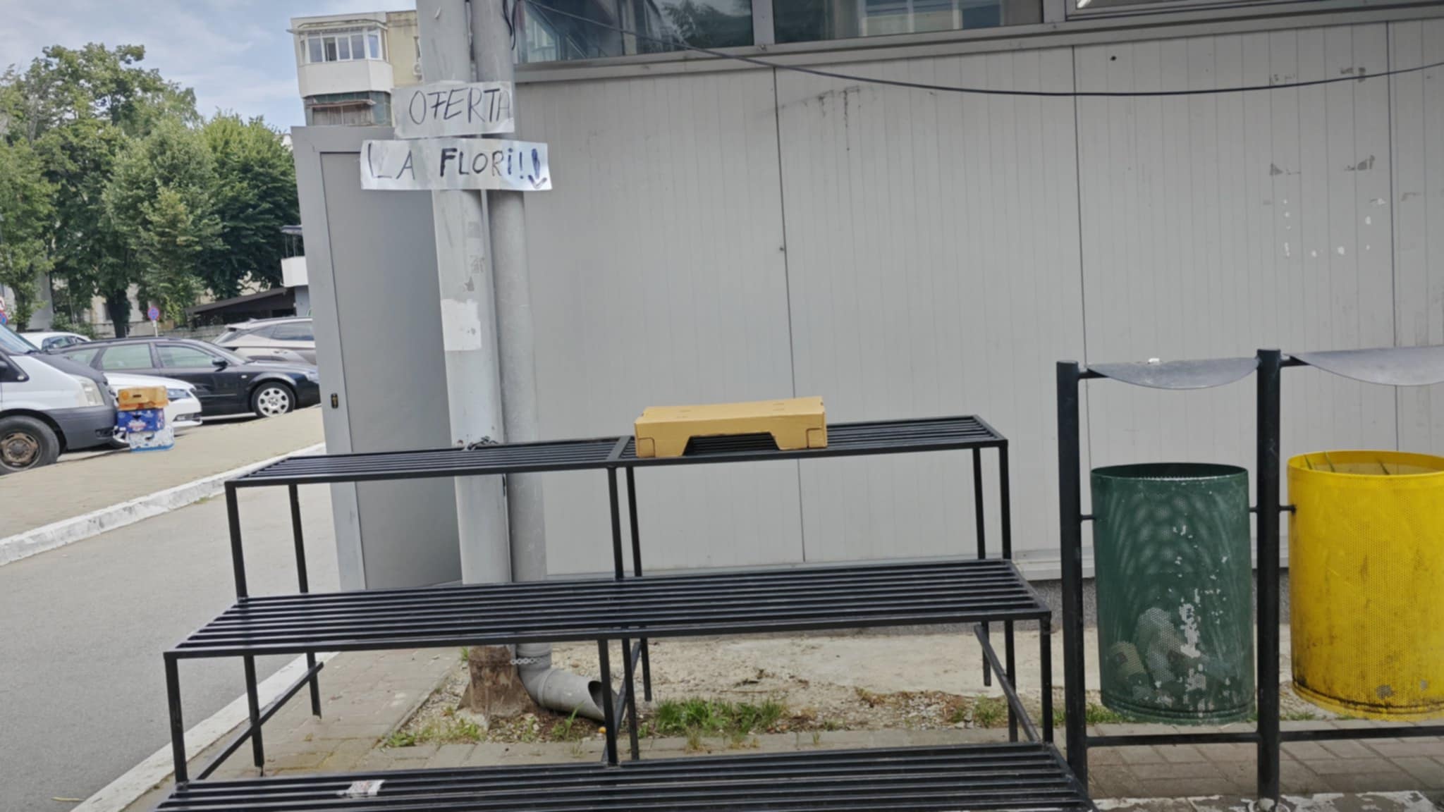 Poza zilei 23 iulie 2025 