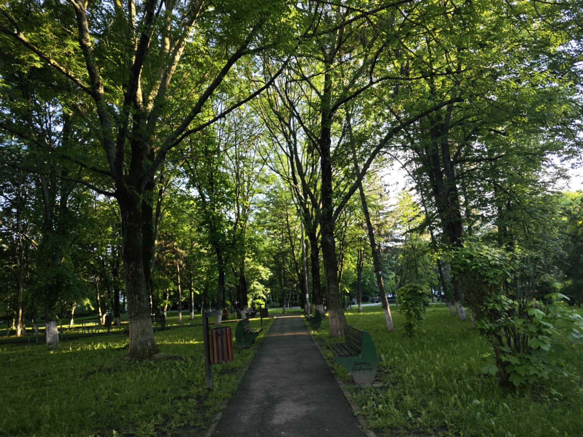 Cod Galben de vânt emis pentru județul Botoșani