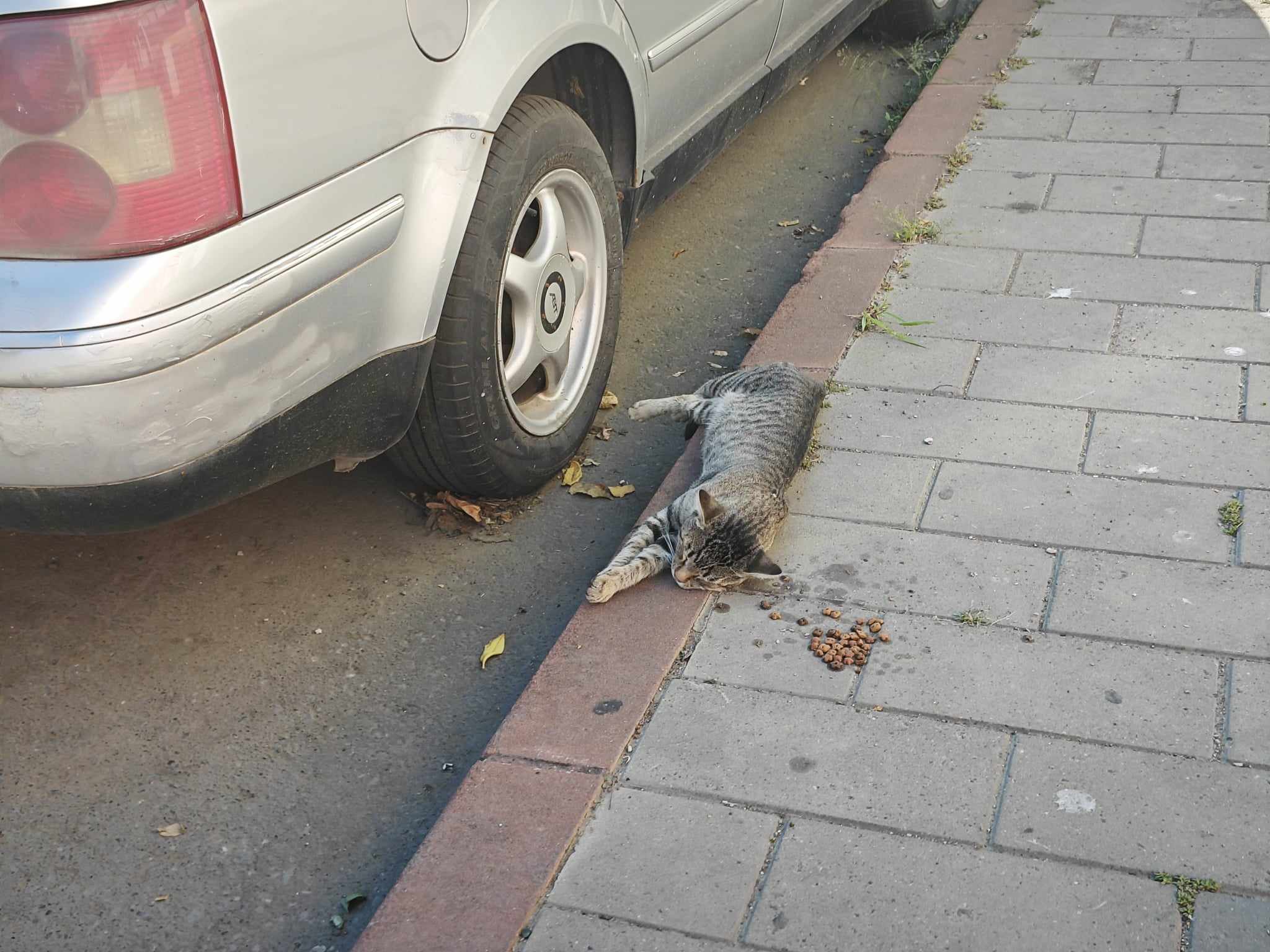 Poza zilei 29 august 2024 