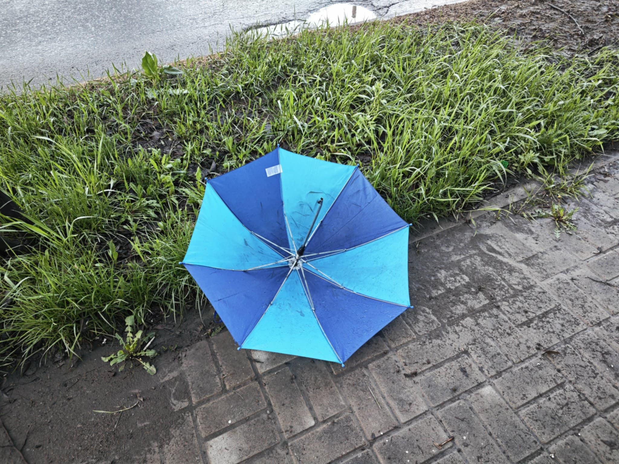 Poza zilei 7 aprilie 2025 