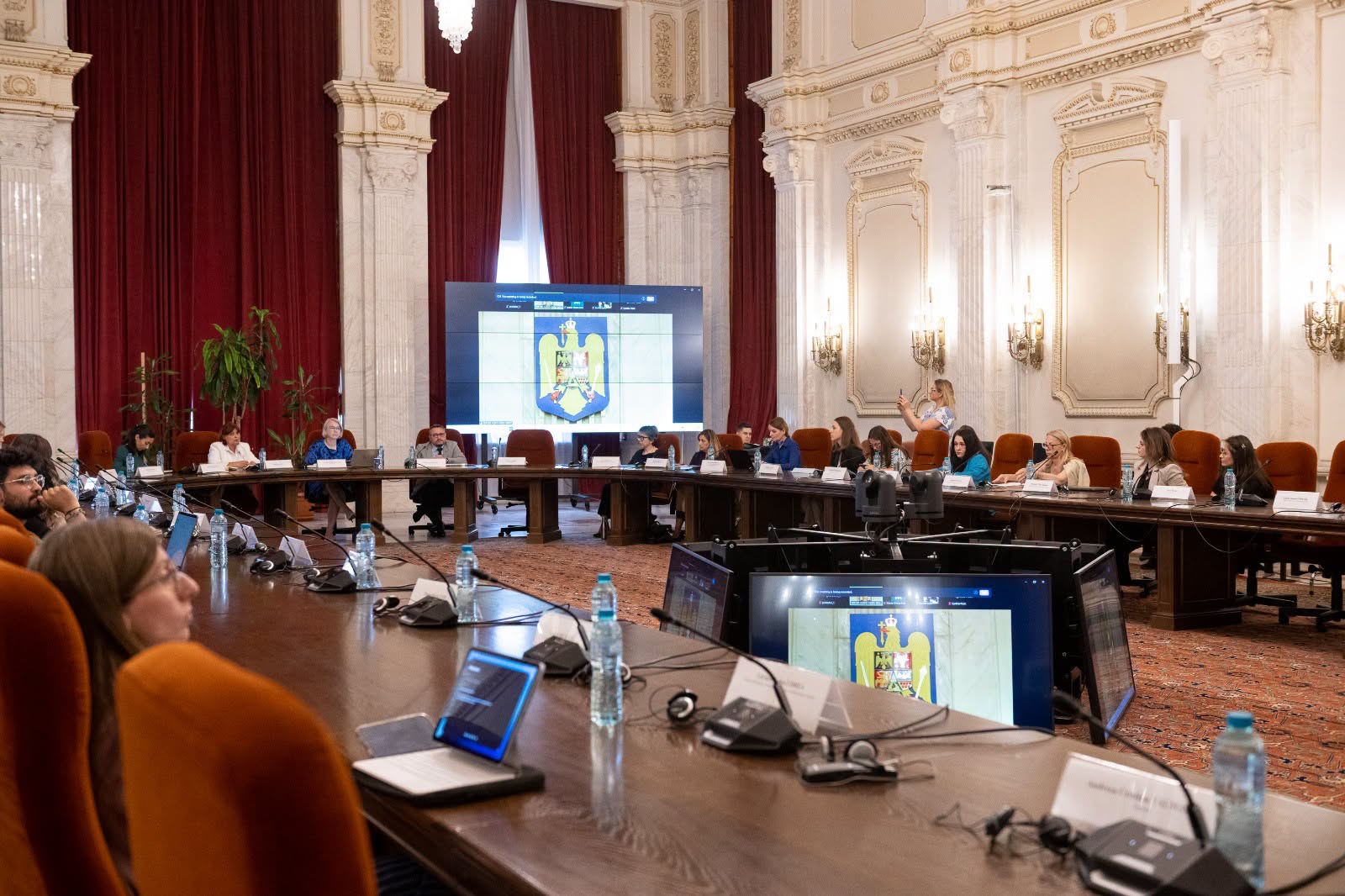 Cum are loc o dezbatere în Parlament despre un fenomen grav din România. Trei parlamentari și niciun reprezentant al Guvernului