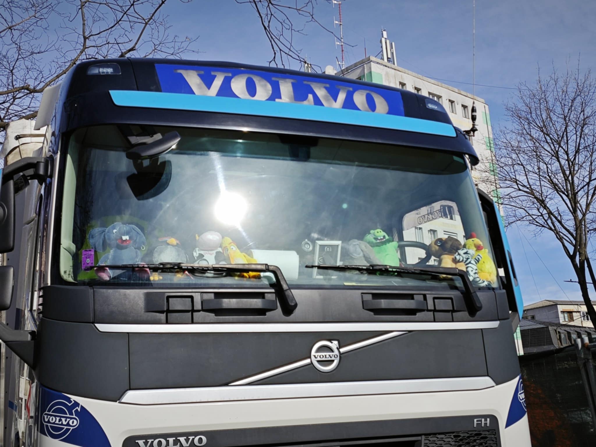 Poza zilei 13 martie 2025 