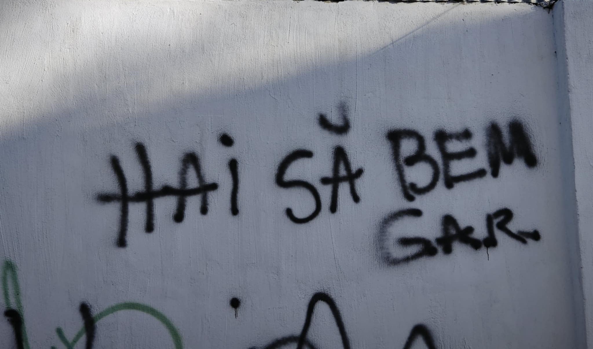 Poza zilei 11 decembrie 2024 