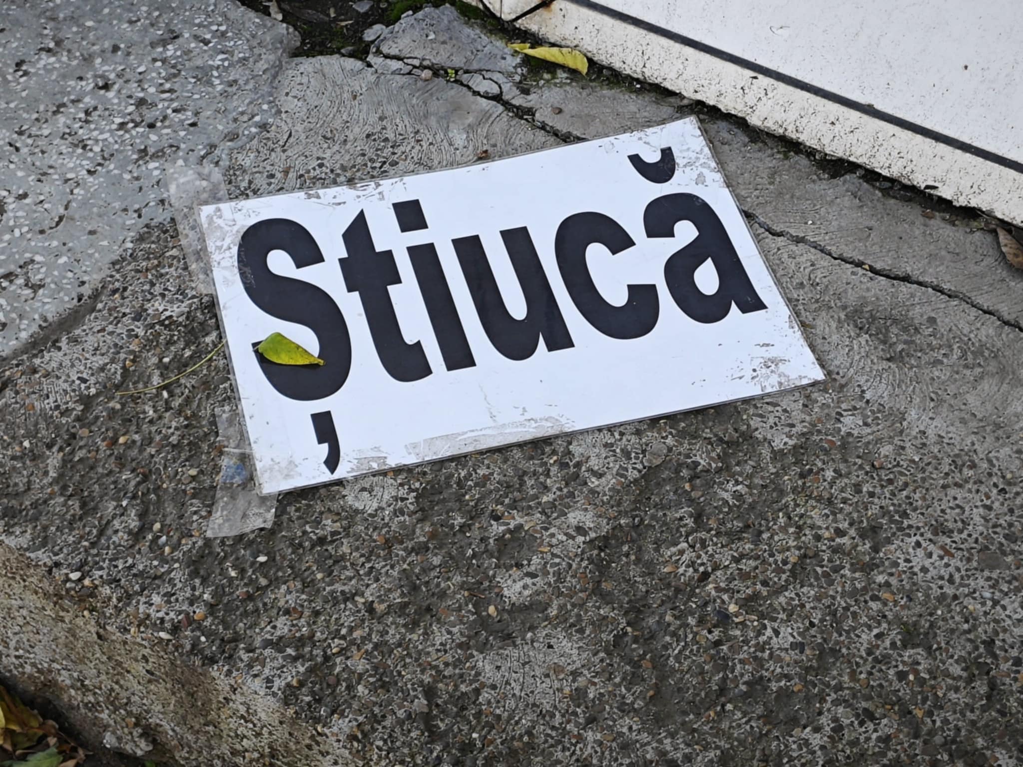 Poza zilei 16 octombrie 2024 