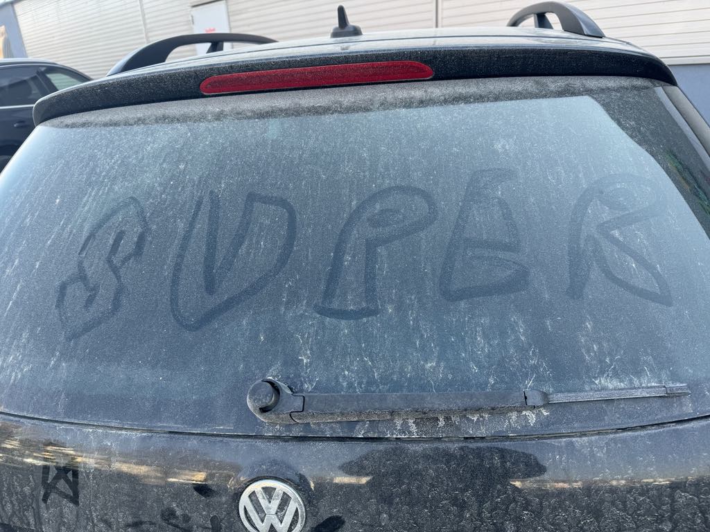 Poza zilei 26 februarie 2025 