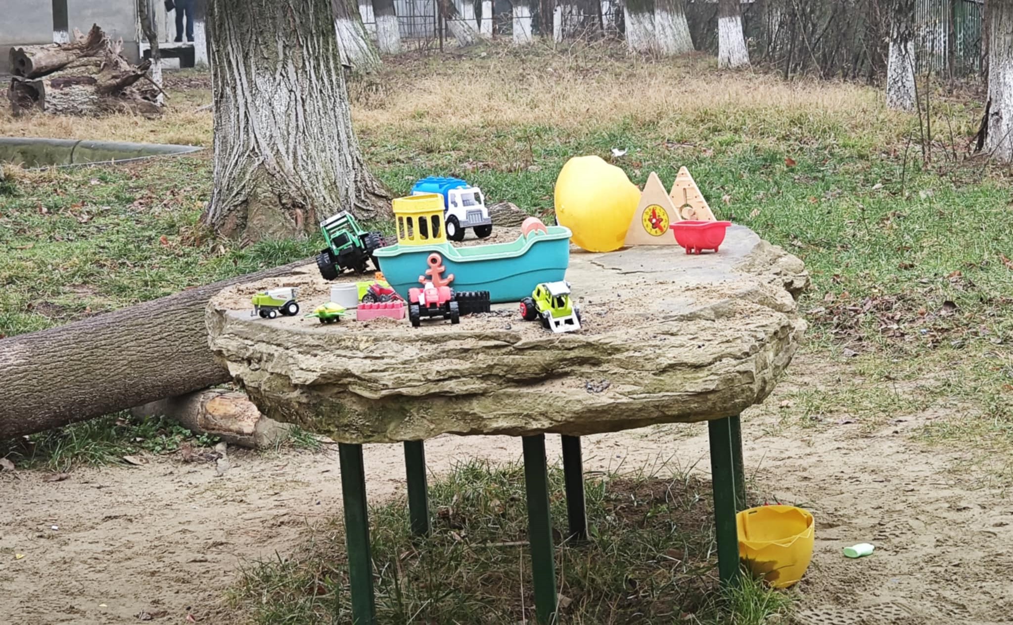 Poza zilei 24 ianuarie 2025 