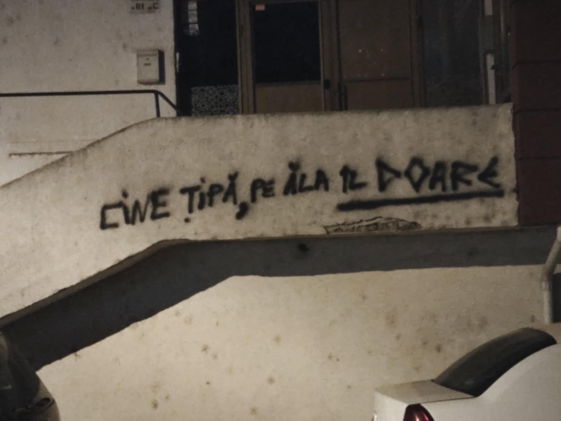 Poza zilei 13 noiembrie 2024