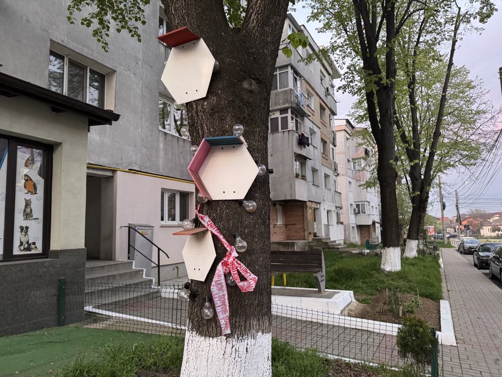 Poza zilei 28 aprilie 2025 