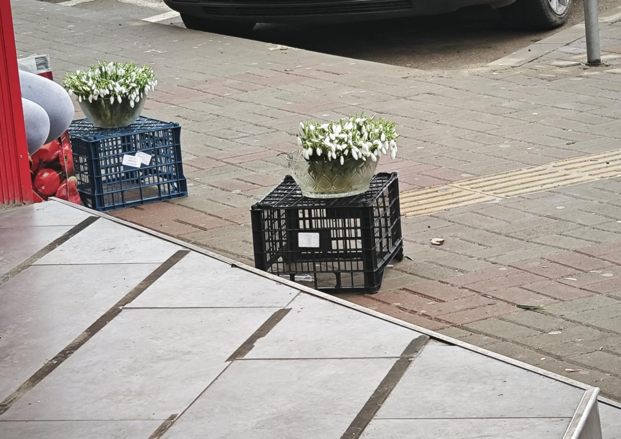 Poza zilei 23 ianuarie 2025 