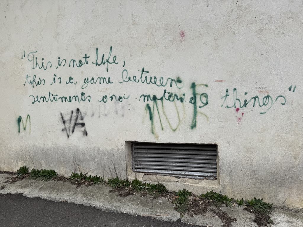 Poza zilei 25 martie 2025 