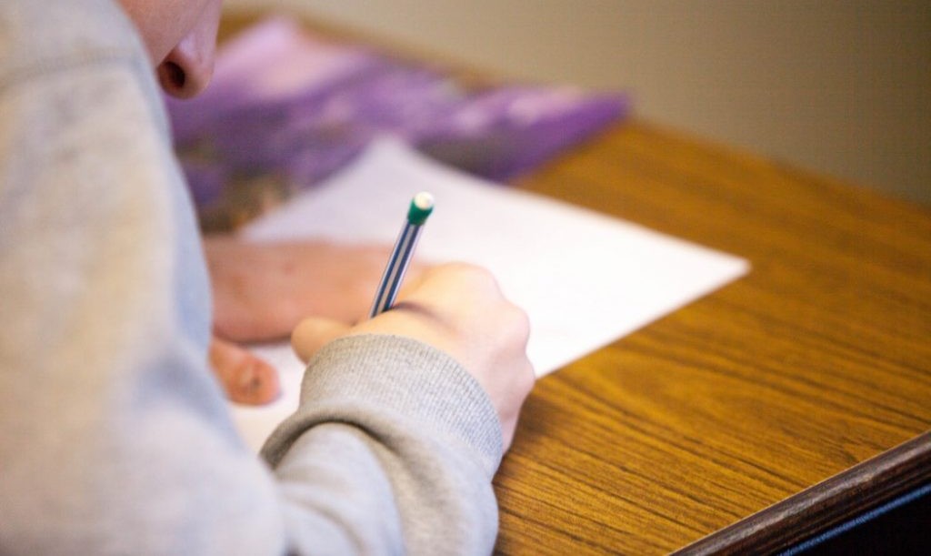 Doi elevi din Botoșani au susținut acasă examenele naționale  