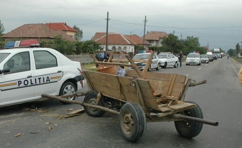 accident caruta