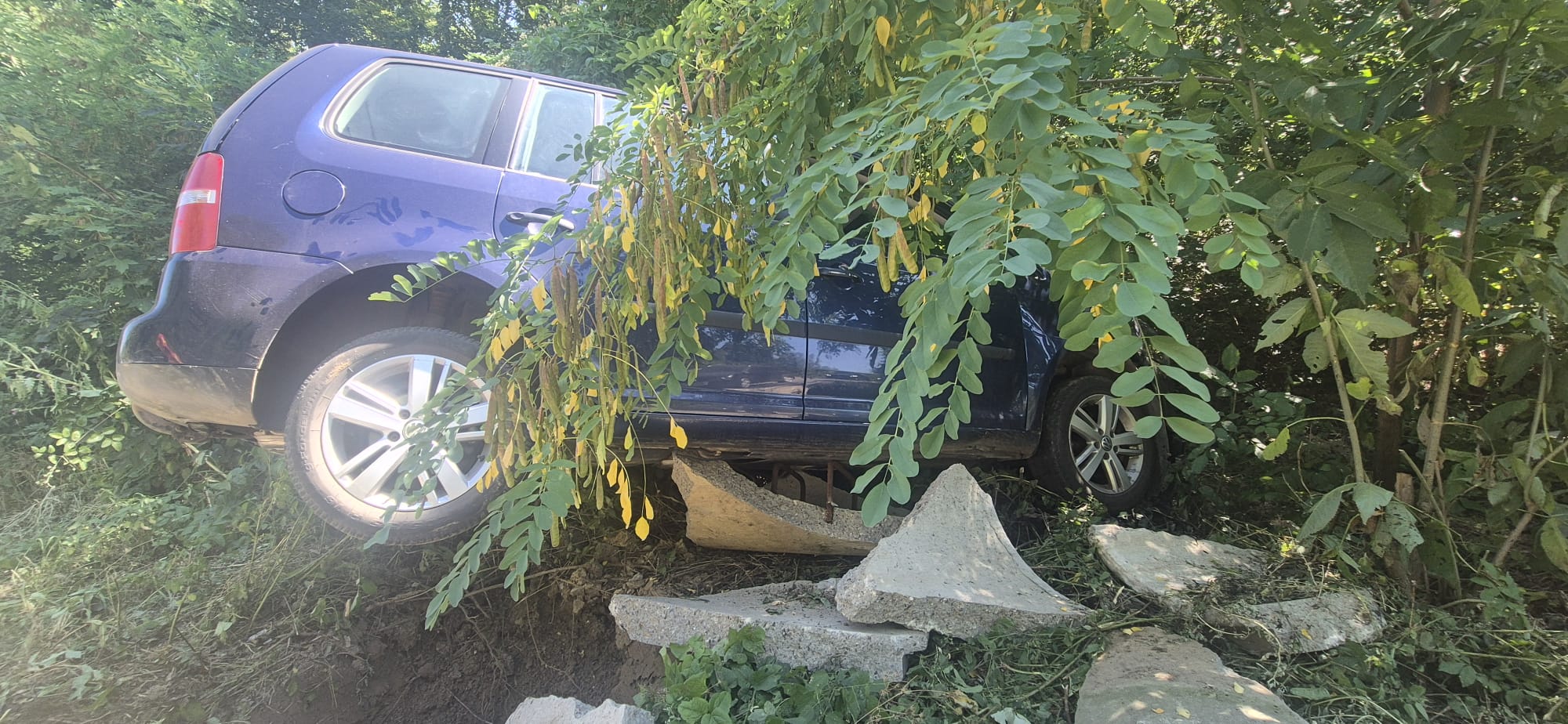 Un autoturism a ajuns printre copaci după impact